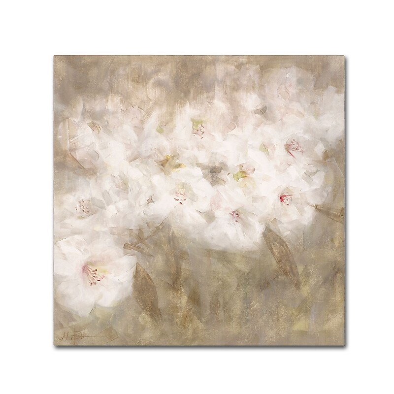 Trademark Fine Art Li Bo 'Wild Flowers I' 14 x 14 (ALI0750-C1414GG) image 1
