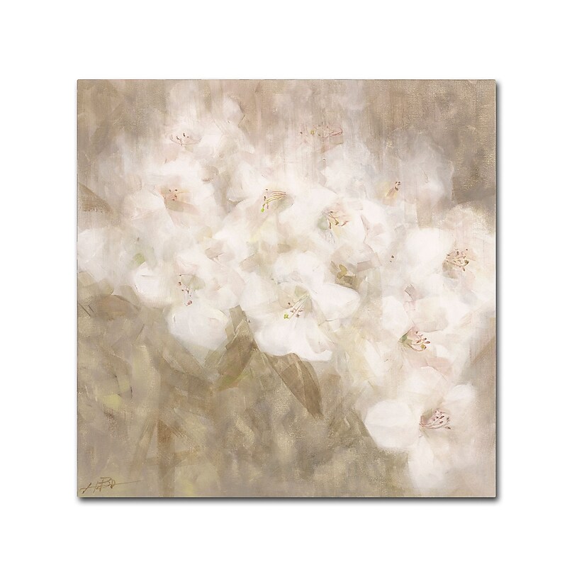 Trademark Fine Art Li Bo 'Wild Flowers II' 35 x 35 (ALI0751-C3535GG) image 1