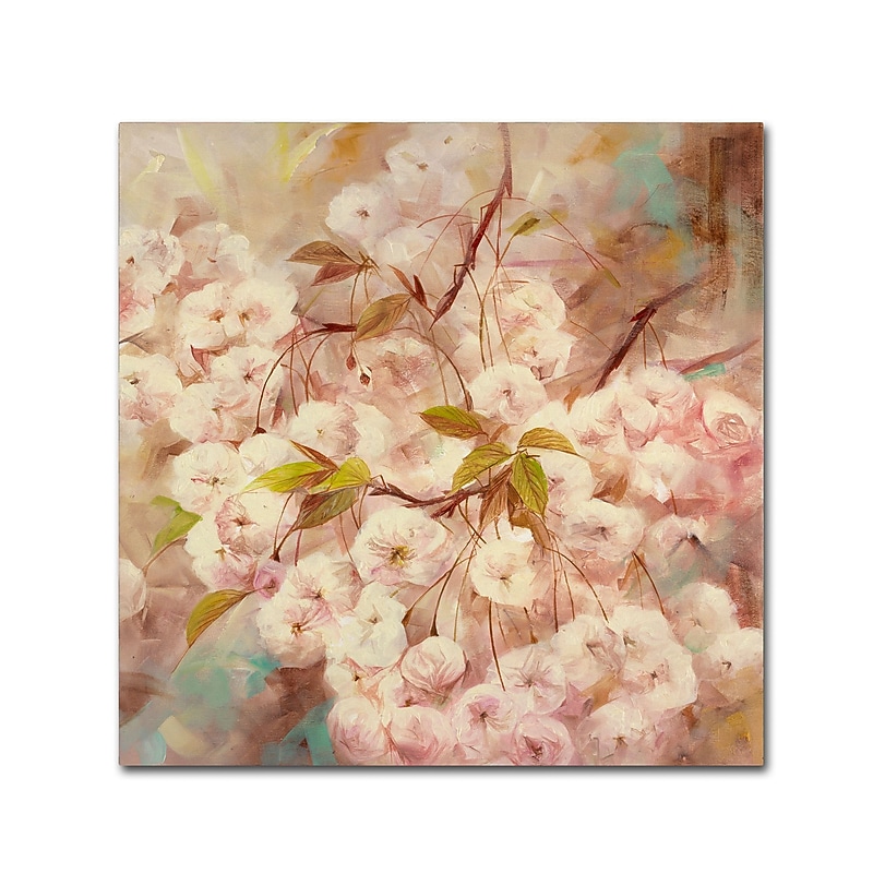 Trademark Fine Art Li Bo 'Rose Bush I' 35 x 35 (ALI0758-C3535GG) image 1