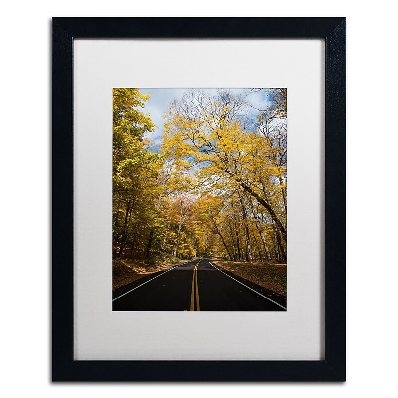 Trademark Fine Art Kurt Shaffer 'Autumn Along the Valley Parkway 2' 16 x 20 Framed Art Print (KS01018-B1620MF) image 1