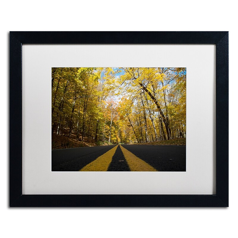 Trademark Fine Art Kurt Shaffer 'Autumn Along the Valley Parkway' 16 x 20 Framed Art Print (KS01019-B1620MF) image 1