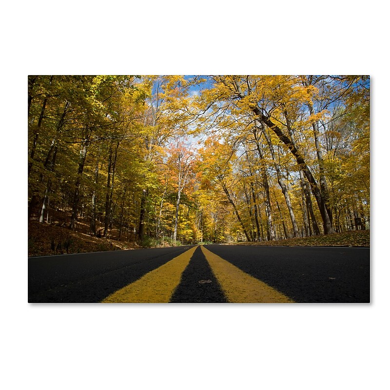 Trademark Fine Art Kurt Shaffer 'Autumn Along the Valley Parkway' 22 x 32 (KS01019-C2232GG) image 1