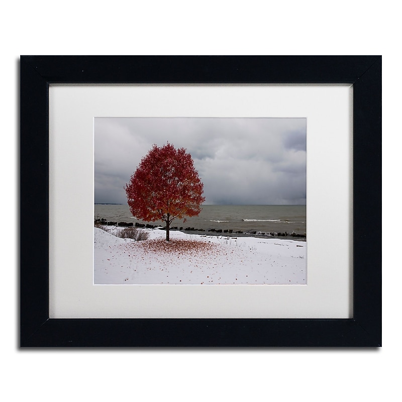 Trademark Fine Art Kurt Shaffer 'Autumn Contrast on the Lake' 11 x 14 Framed Art Print (KS01020-B1114MF) image 1