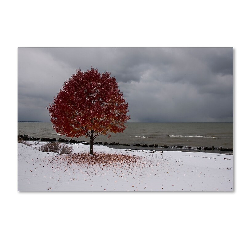 Trademark Fine Art Kurt Shaffer 'Autumn Contrast on the Lake' 30 x 47 (KS01020-C3047GG) image 1