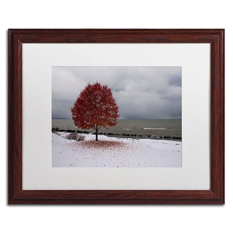 Trademark Fine Art Kurt Shaffer 'Autumn Contrast on the Lake' 16 x 20 Framed Art Print (KS01020-W1620MF) image 1