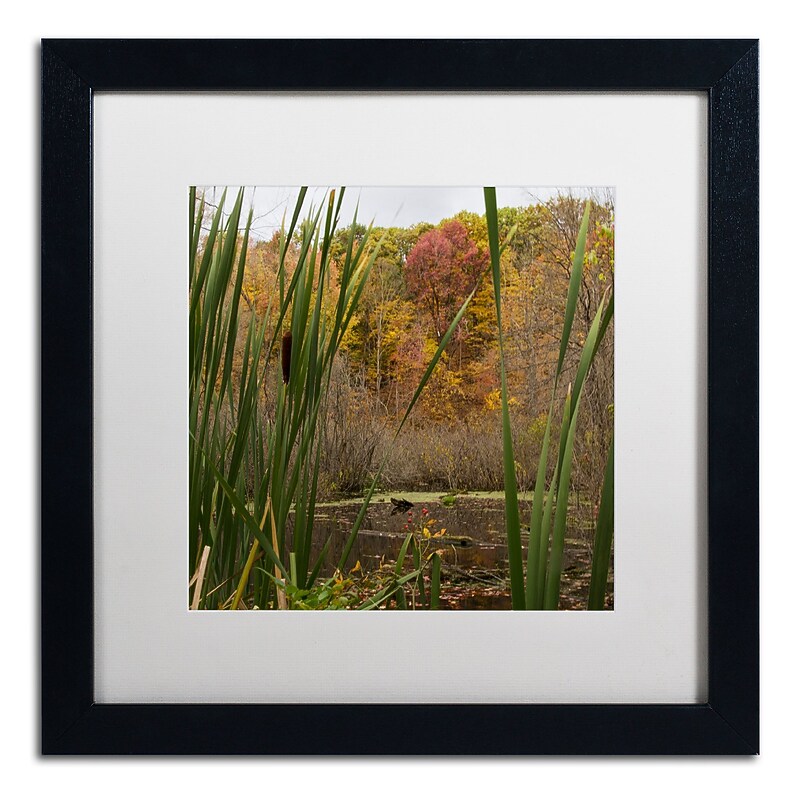 Trademark Fine Art Kurt Shaffer 'Autumn Marsh' 16 x 16 Framed Art Print (KS01022-B1616MF) image 1
