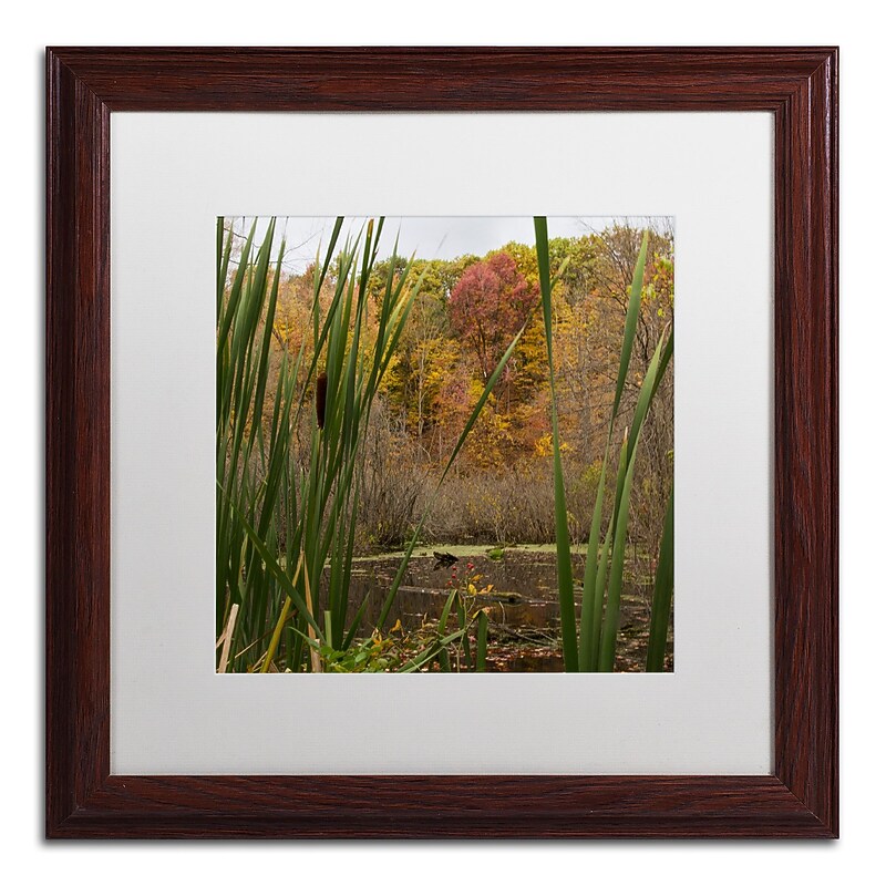 Trademark Fine Art Kurt Shaffer 'Autumn Marsh' 16 x 16 Framed Art Print (KS01022-W1616MF) image 1