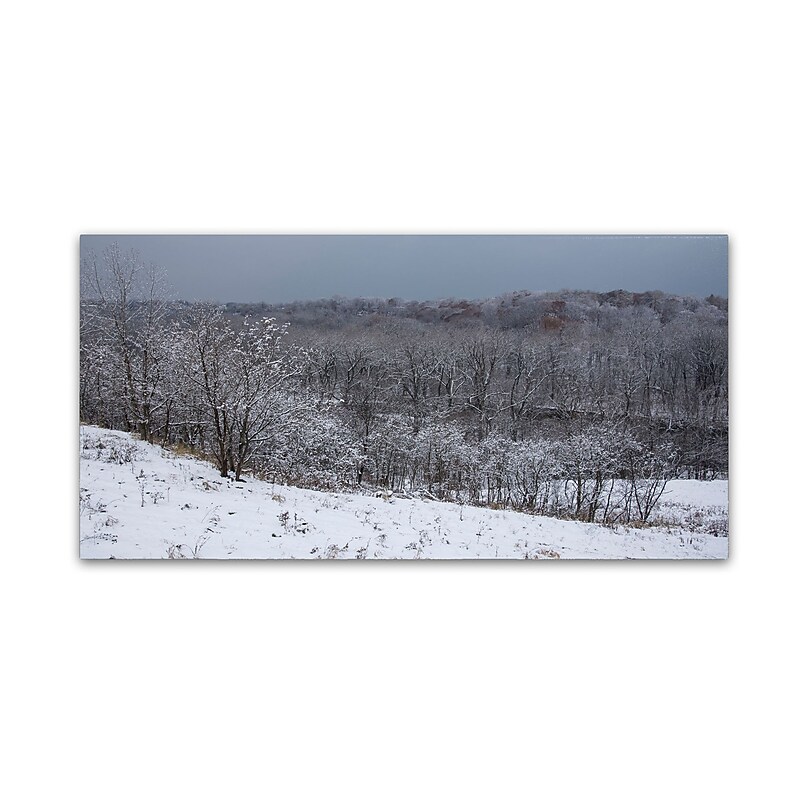 Trademark Fine Art Kurt Shaffer 'Autumn Snowfall' 10 x 19 (KS01023-C1019GG) image 1