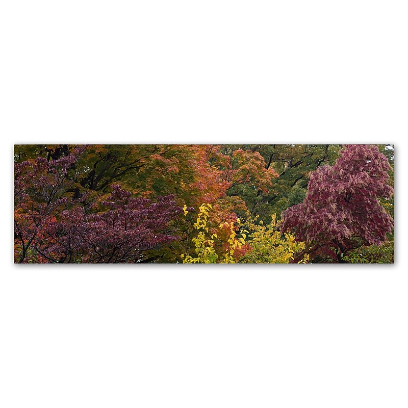 Trademark Fine Art Kurt Shaffer 'Autumn's Diversity' 16 x 47 (KS01024-C1647GG) image 1