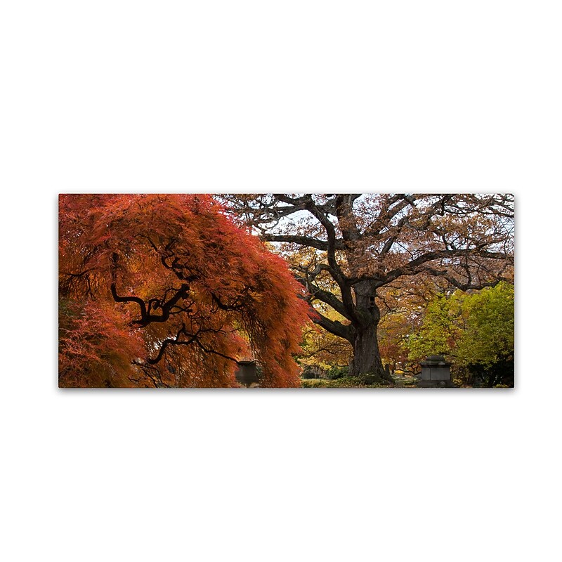 Trademark Fine Art Kurt Shaffer 'Beautiful Slice of Autumn' 14 x 32 (KS01025-C1432GG) image 1