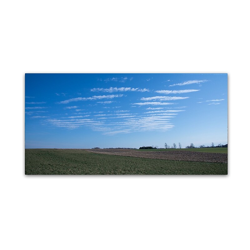Trademark Fine Art Kurt Shaffer 'Fields at Rest for Winter' 10 x 19 (KS01033-C1019GG) image 1