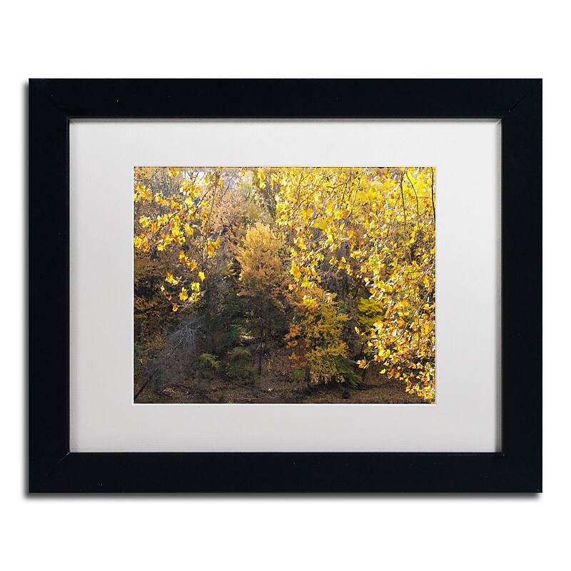 Trademark Fine Art Kurt Shaffer 'Golden Autumn 2' 11 x 14 (KS01034-B1114MF) image 1