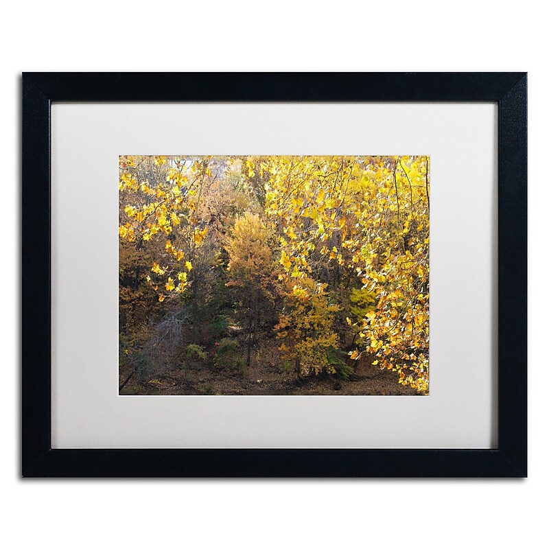 Trademark Fine Art Kurt Shaffer 'Golden Autumn 2' 16 x 20 Framed Art Print (KS01034-B1620MF) image 1