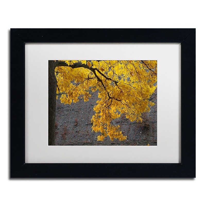 Trademark Fine Art Kurt Shaffer 'Golden Autumn Color' 11 x 14 Framed Art Print (KS01035-B1114MF) image 1