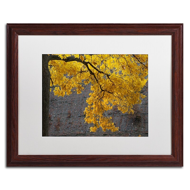 Trademark Fine Art Kurt Shaffer 'Golden Autumn Color' 16 x 20 Framed Art Print (KS01035-W1620MF) image 1