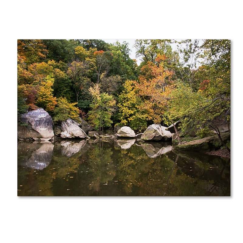 Trademark Fine Art Kurt Shaffer 'Graffiti Fall' 35 x 47 (KS01037-C3547GG) image 1