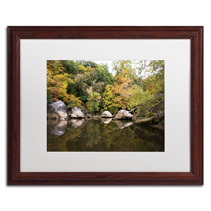 Trademark Fine Art Kurt Shaffer 'Graffiti Fall' 16 x 20 Framed Art Print (KS01037-W1620MF) image 1