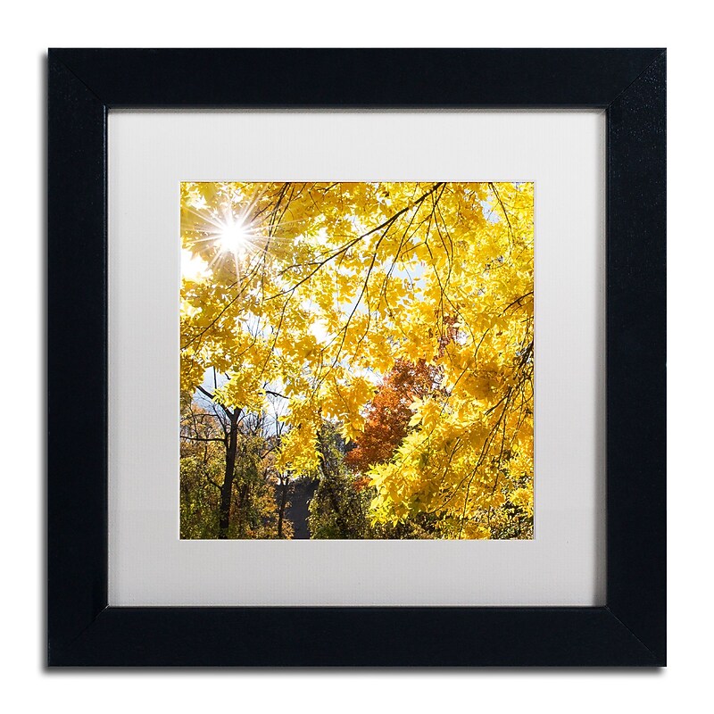 Trademark Fine Art Kurt Shaffer 'Sunny Happy Autumn Day' 11 x 11 (KS01049-B1111MF) image 1