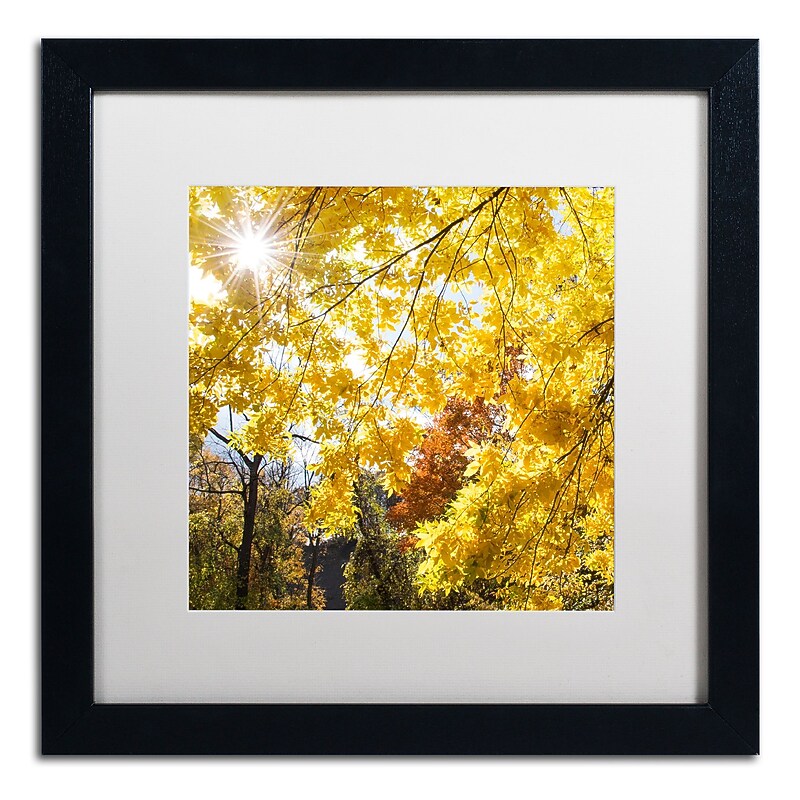 Trademark Fine Art Kurt Shaffer 'Sunny Happy Autumn Day' 16 x 16 (KS01049-B1616MF) image 1