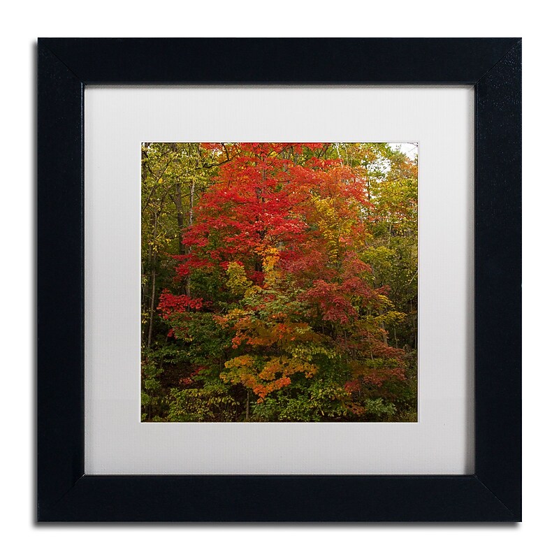 Trademark Fine Art Kurt Shaffer 'Why I Love Autumn 2' 11 x 11 Framed Art Print (KS01052-B1111MF) image 1