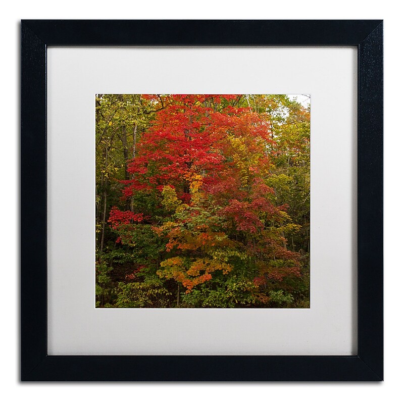 Trademark Fine Art Kurt Shaffer 'Why I Love Autumn 2' 16 x 16 Framed Art Print (KS01052-B1616MF) image 1