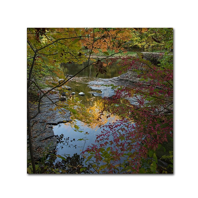 Trademark Fine Art Kurt Shaffer 'Why I Love Autumn 3' 35 x 35 (KS01053-C3535GG) image 1