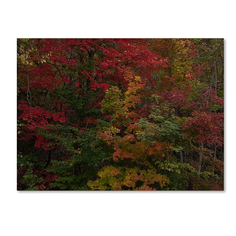 Trademark Fine Art Kurt Shaffer 'Why I Love Autumn' 18 x 24 (KS01054-C1824GG) image 1