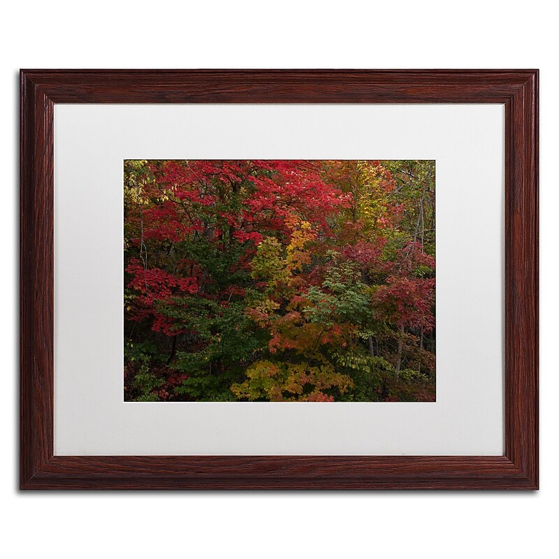 Trademark Fine Art Kurt Shaffer 'Why I Love Autumn' 16 x 20 Framed Art Print (KS01054-W1620MF) image 1