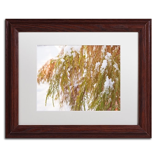Trademark Fine Art Kurt Shaffer 'Winter on Redwood' 11 x 14