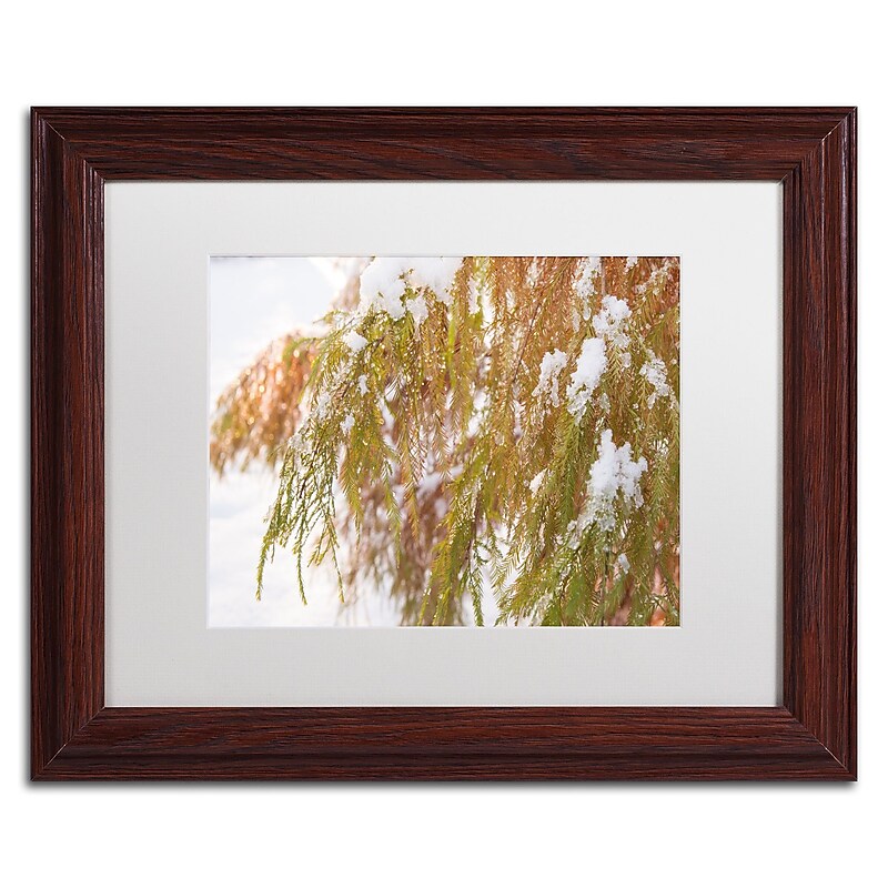 Trademark Fine Art Kurt Shaffer 'Winter on Redwood' 11 x 14 (KS01055-W1114MF) image 1