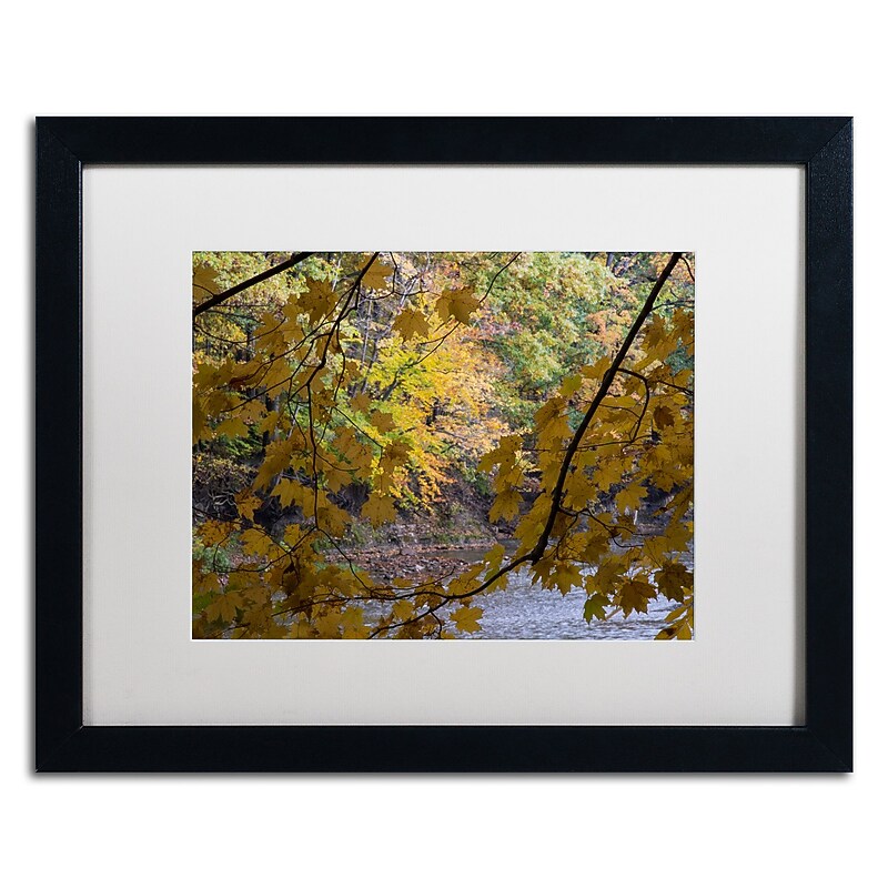 Trademark Fine Art Kurt Shaffer 'Brilliant Ohio Autumn' 16 x 20 Framed Art Print (KS01059-B1620MF) image 1
