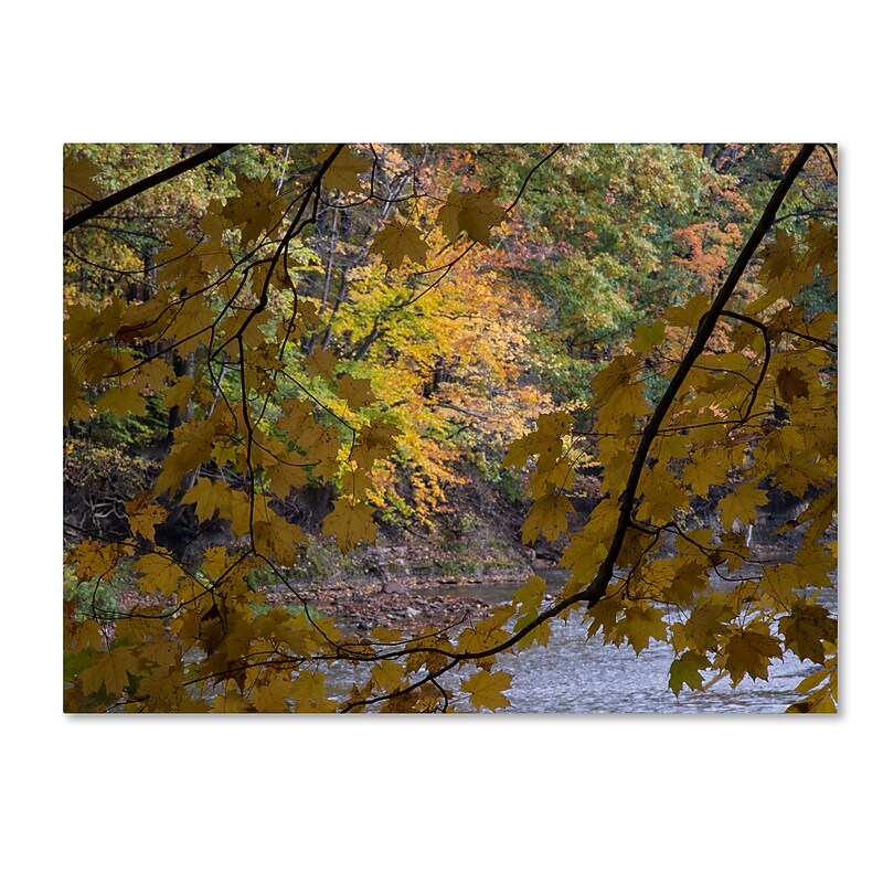 Trademark Fine Art Kurt Shaffer 'Brilliant Ohio Autumn' 35 x 47 (KS01059-C3547GG) image 1