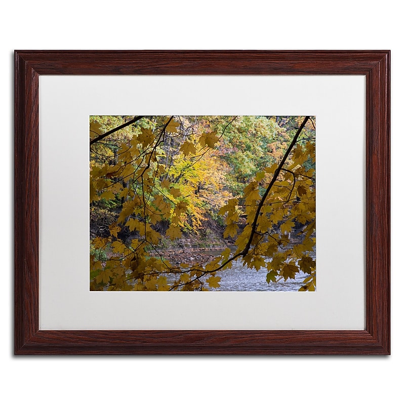 Trademark Fine Art Kurt Shaffer 'Brilliant Ohio Autumn' 16 x 20 Framed Art Print (KS01059-W1620MF) image 1