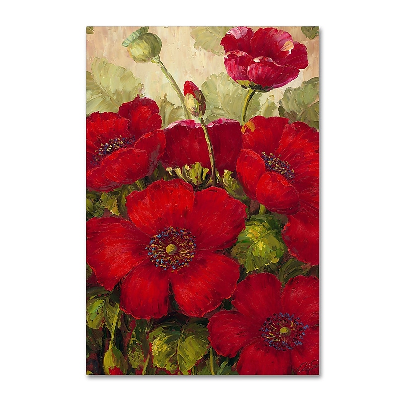 Trademark Fine Art Rio 'Poppies II' 14 x 19 (MA0200-C1419GG) image 1