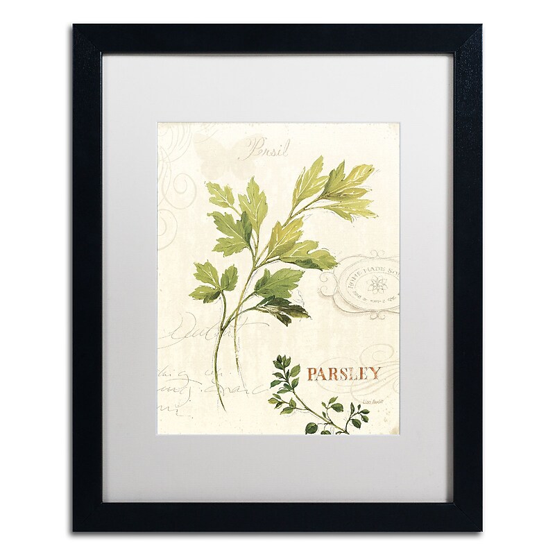 Trademark Fine Art Lisa Audit 'Aromantique I' 16 x 20 Framed Art Print (WAP0192-B1620MF) image 1