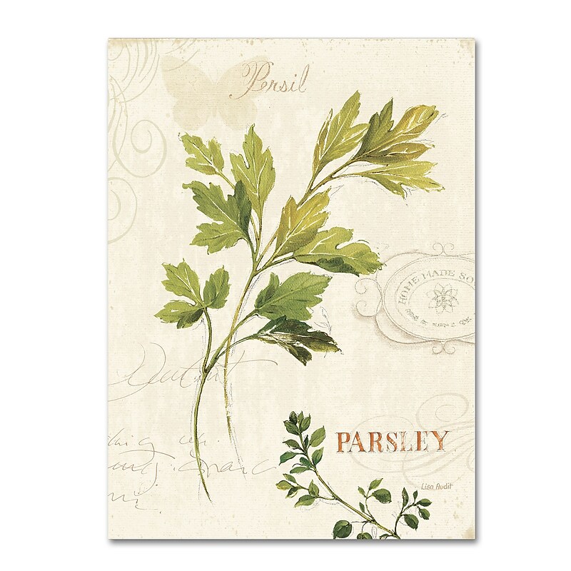 Trademark Fine Art Lisa Audit 'Aromantique I' 24 x 32 (WAP0192-C2432GG) image 1