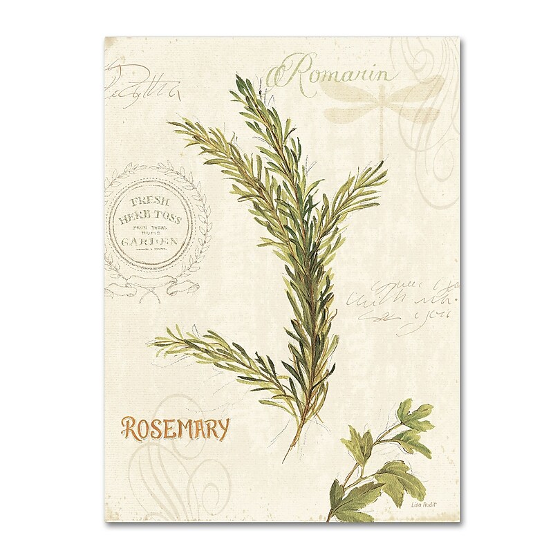 Trademark Fine Art Lisa Audit 'Aromantique II' 35 x 47 (WAP0193-C3547GG) image 1