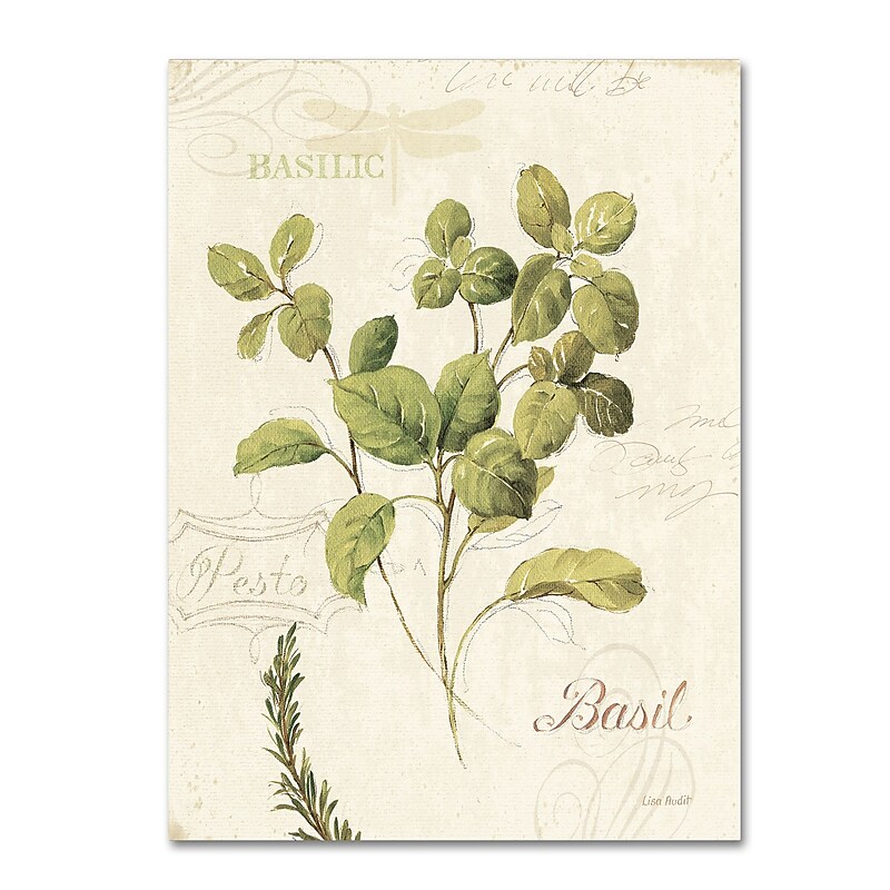 Trademark Fine Art Lisa Audit 'Aromantique III' 35 x 47 (WAP0194-C3547GG) image 1