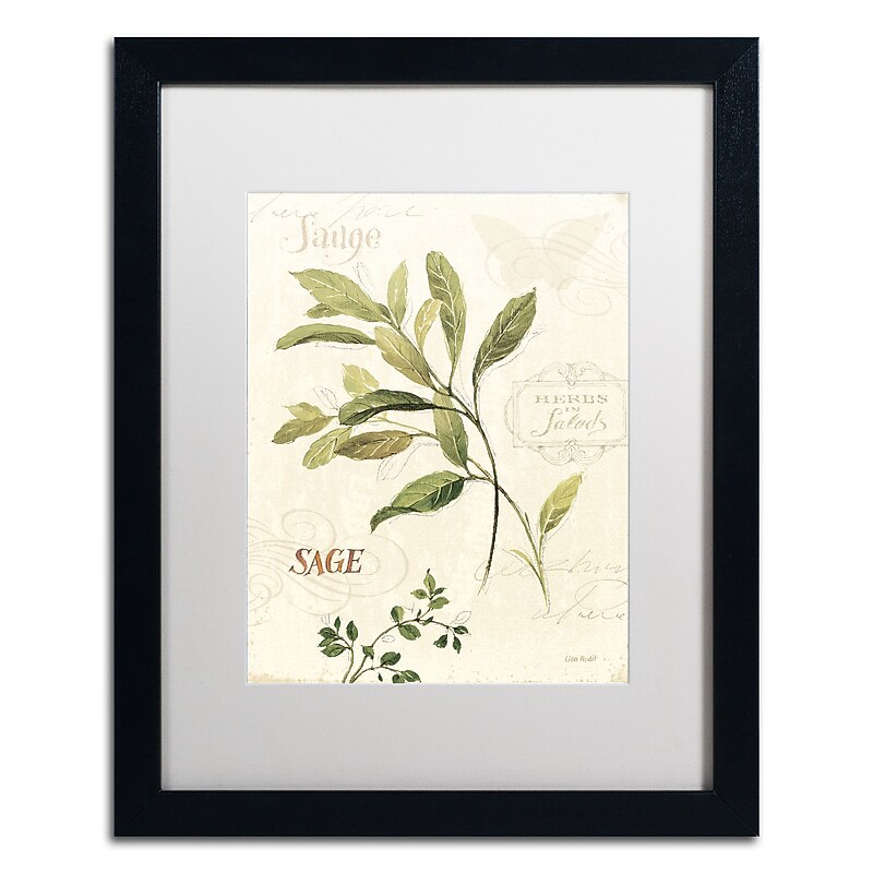 Trademark Fine Art Lisa Audit 'Aromantique IV' 16 x 20 Framed Art Print (WAP0195-B1620MF) image 1