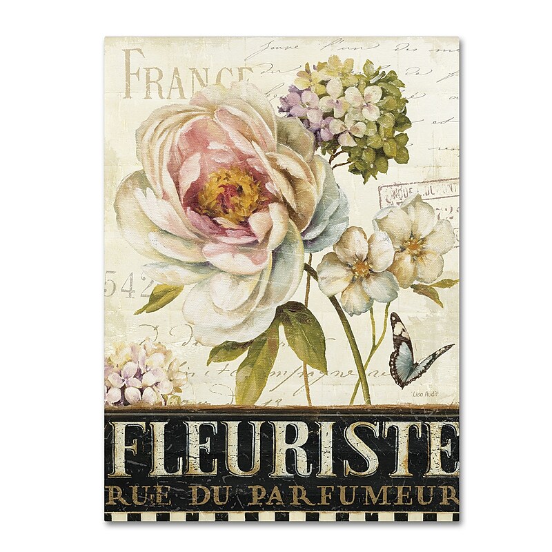 Trademark Fine Art Lisa Audit 'Marche de Fleurs III' 14 x 19 (WAP0198-C1419GG) image 1