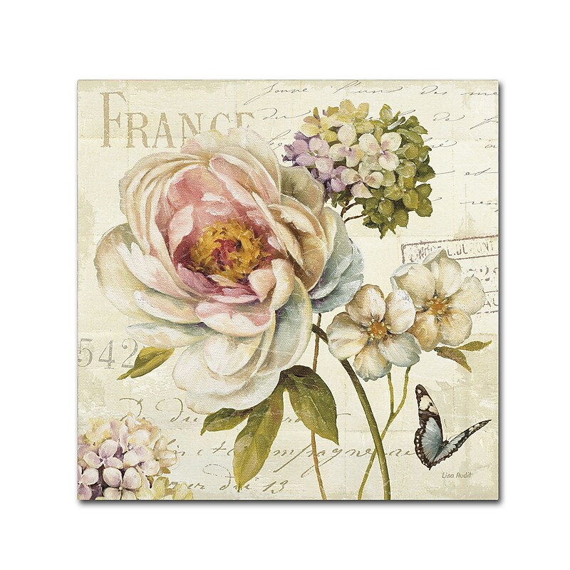 Trademark Fine Art Lisa Audit 'Marche de Fleurs III' 35 x 35 (WAP0201-C3535GG) image 1