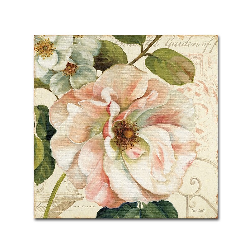 Trademark Fine Art Lisa Audit 'Les Jardin II' 35 x 35 (WAP0202-C3535GG) image 1