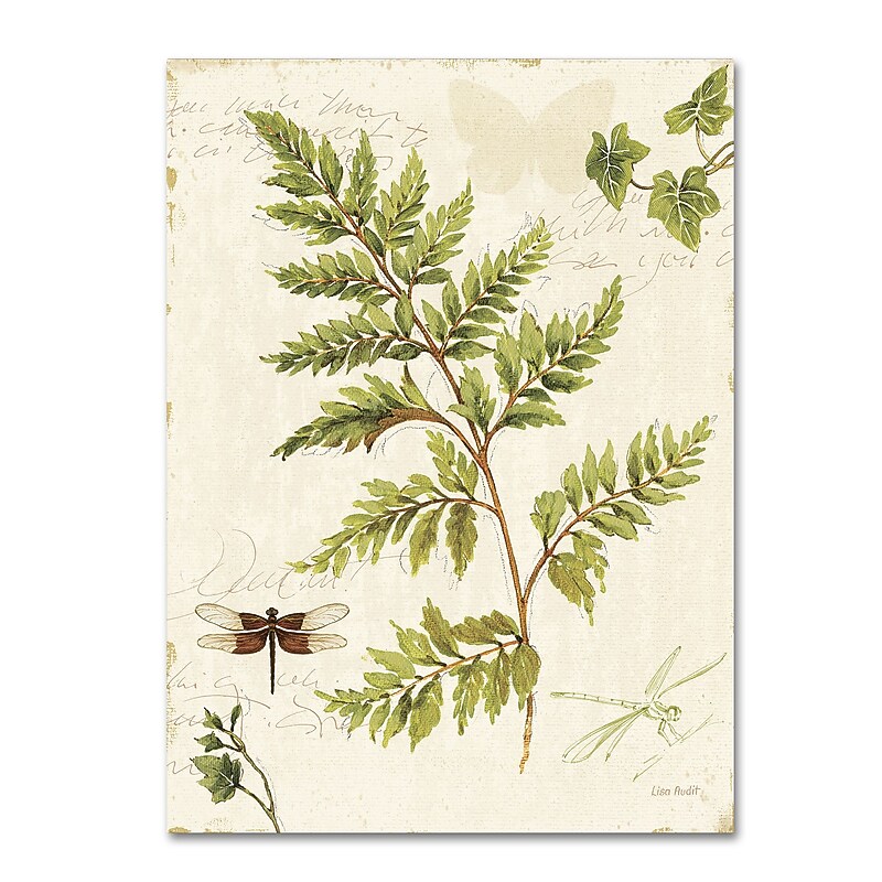 Trademark Fine Art Lisa Audit 'Ivies and Ferns I' 24 x 32 (WAP0217-C2432GG) image 1