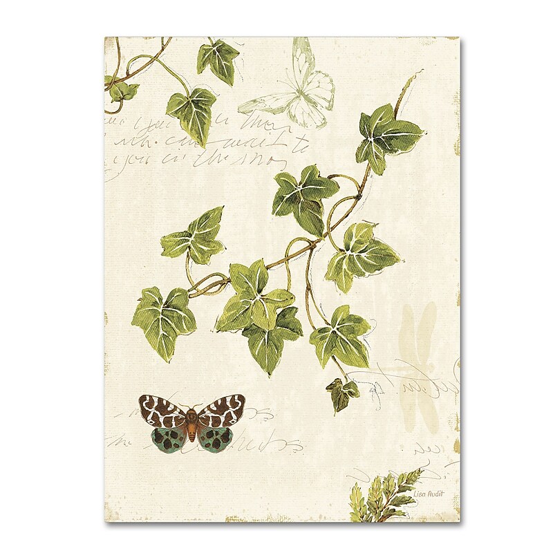 Trademark Fine Art Lisa Audit 'Ivies and Ferns II' 24 x 32 (WAP0218-C2432GG) image 1