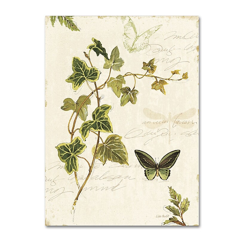 Trademark Fine Art Lisa Audit 'Ivies and Ferns IV' 24 x 32 (WAP0220-C2432GG) image 1