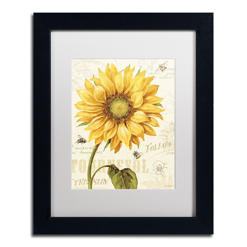 Trademark Fine Art Lisa Audit 'Under the Sun I' 11 x 14 (WAP0221-B1114MF) image 1