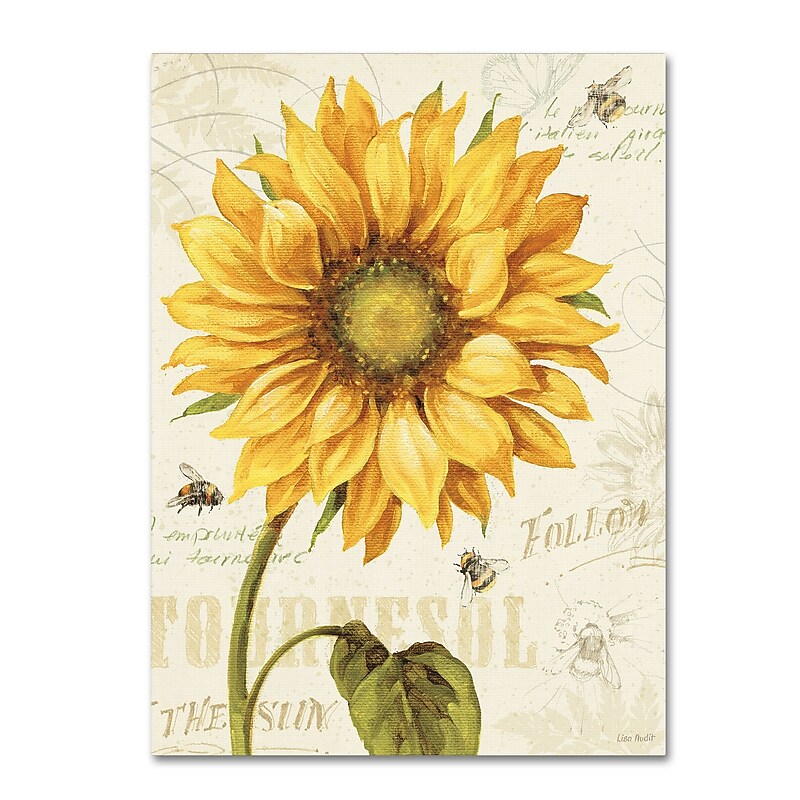 Trademark Fine Art Lisa Audit 'Under the Sun I' 24 x 32 (WAP0221-C2432GG) image 1