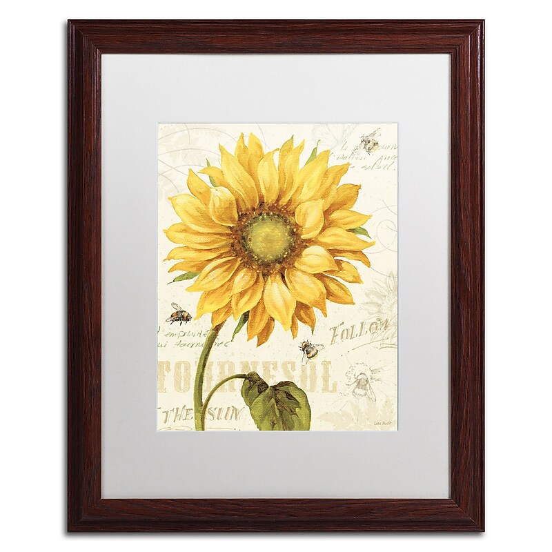 Trademark Fine Art Lisa Audit 'Under the Sun I' 16 x 20 Framed Art Print (WAP0221-W1620MF) image 1