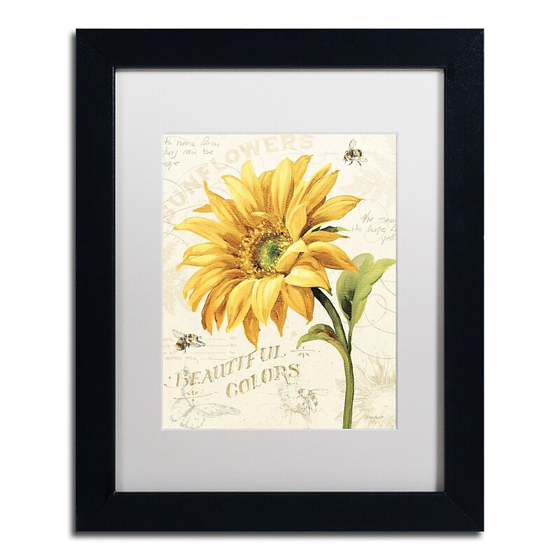 Trademark Fine Art Lisa Audit 'Under the Sun II' 11 x 14 Framed Art Print (WAP0222-B1114MF) image 1
