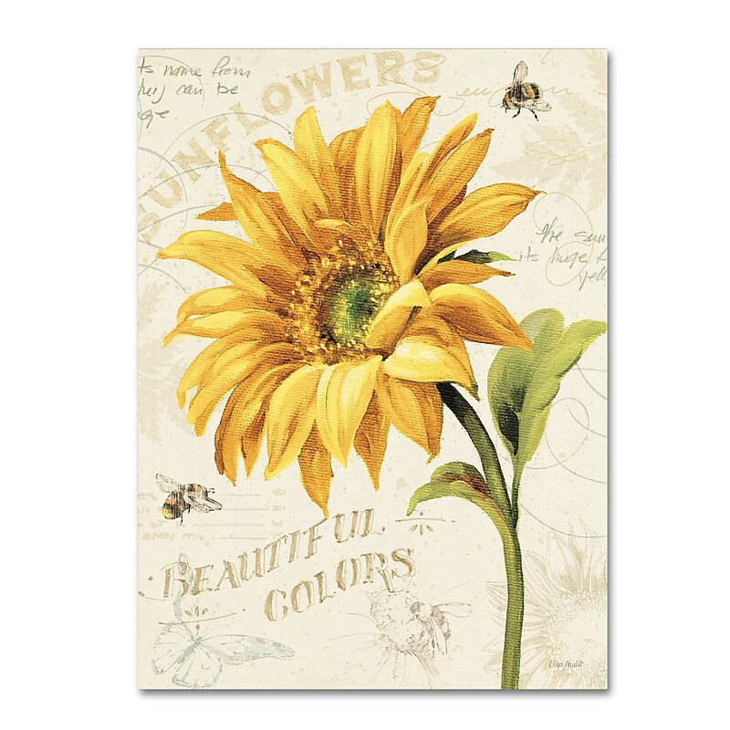 Trademark Fine Art Lisa Audit 'Under the Sun II' 14 x 19 (WAP0222-C1419GG) image 1